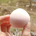 Soft Makeup Blender Sponge